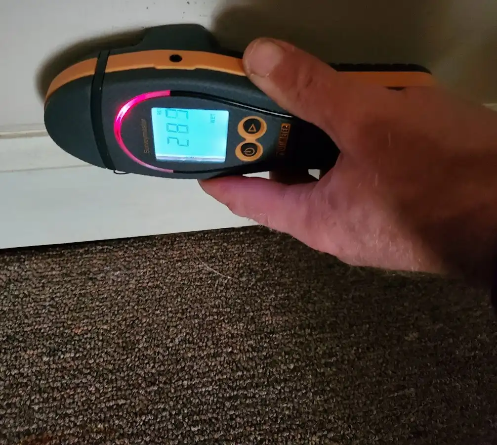 Moisture detection at baseboard during Mold Inspection & Testing in Mitchell